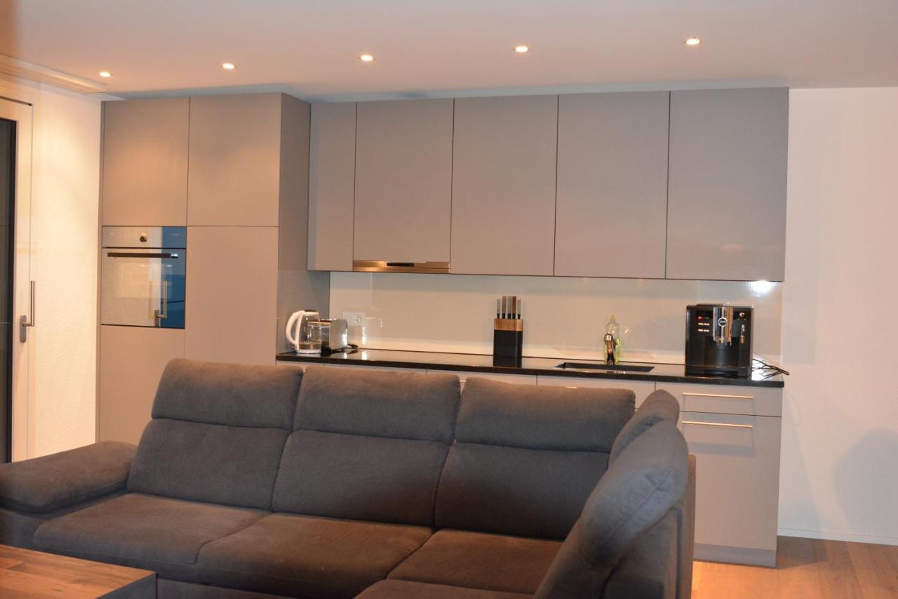 Brand New Apartment Surrounded By Nature Schattdorf 外观 照片